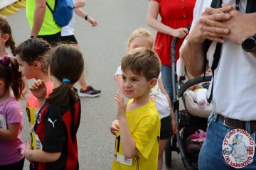 DSC_2307.jpg