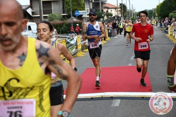 IMG_6946.jpg
