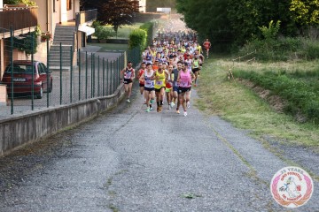 IMG_3315.jpg