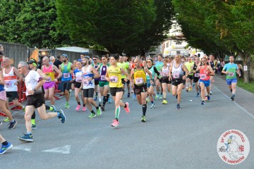 DSC_2870.jpg
