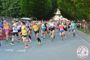 DSC_2871.jpg