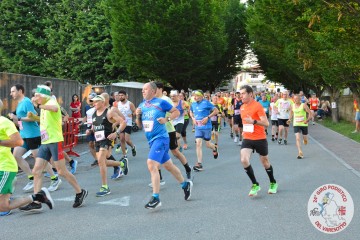 DSC_2910.jpg