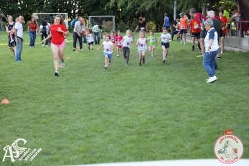 IMG_1224.jpg
