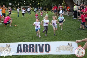 IMG_1227.jpg