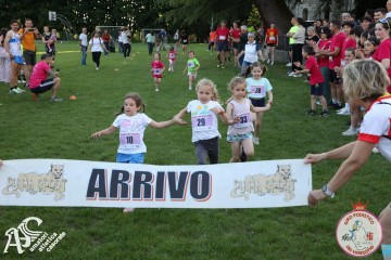 IMG_1228.jpg