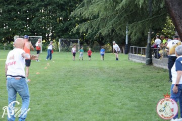 IMG_1247.jpg