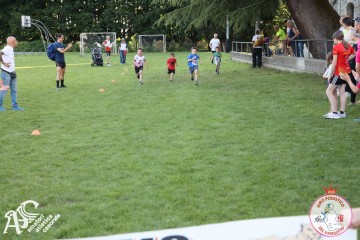 IMG_1251.jpg