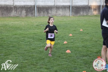 IMG_1294.jpg