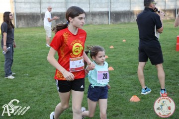 IMG_1303.jpg