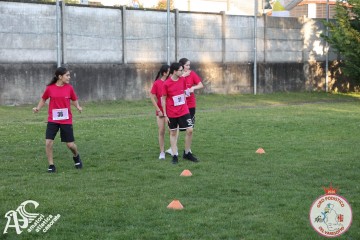 IMG_1305.jpg