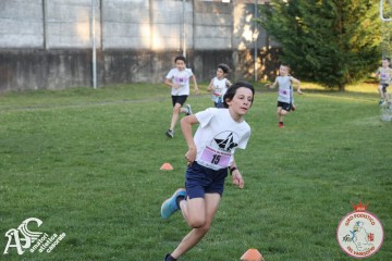 IMG_1340.jpg