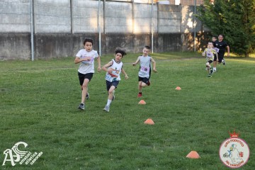 IMG_1341.jpg