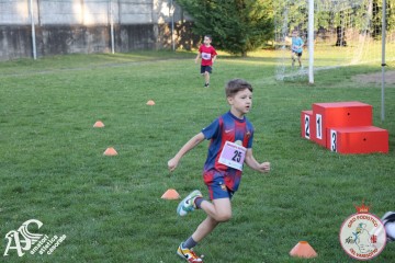 IMG_1347.jpg