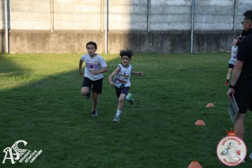 IMG_1358.jpg