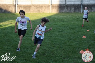 IMG_1360.jpg