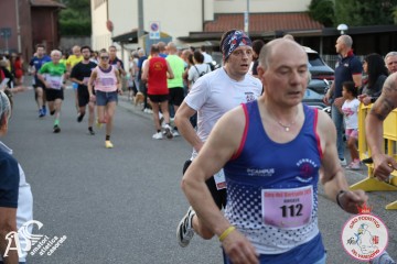 IMG_2377.jpg
