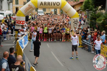 DSC_3856.jpg