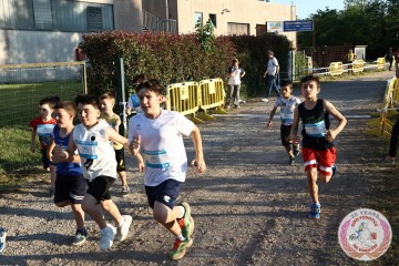 IMG_3100.jpg