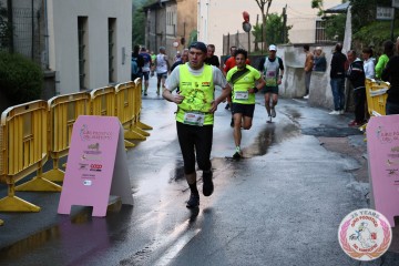 IMG_1134.jpg