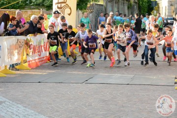 DSC_8450.jpg