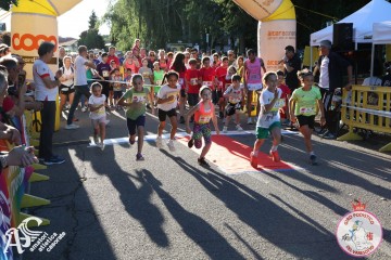 IMG_6504.jpg