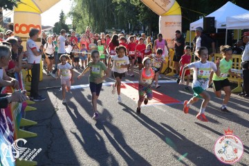 IMG_6505.jpg
