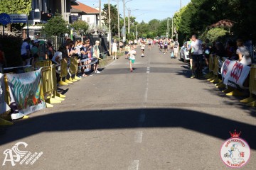 IMG_6521.jpg