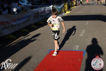 IMG_6548.jpg