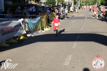 IMG_6551.jpg