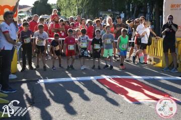 IMG_6596.jpg