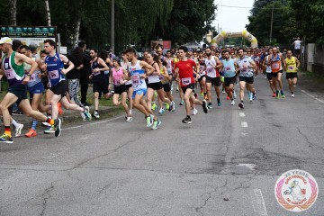 IMG_6584.jpg