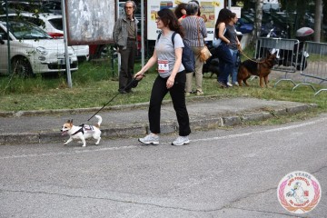 IMG_6806.jpg