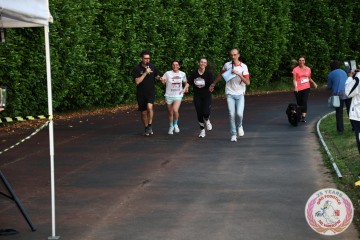 IMG_2882.jpg