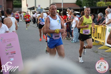 IMG_2113.jpg