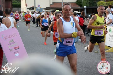 IMG_2114.jpg
