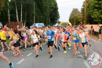 DSC_4955.jpg