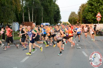 DSC_4982.jpg