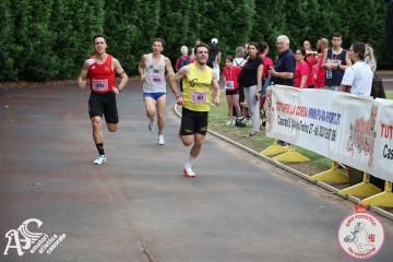 IMG_3727.jpg