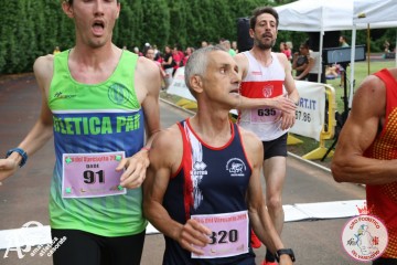 IMG_3806.jpg