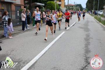 IMG_5869.jpg