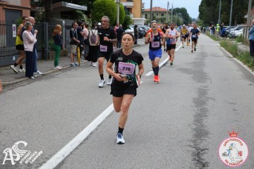 IMG_5927.jpg