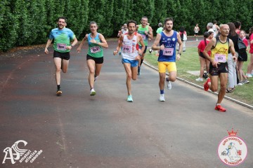 IMG_3901.jpg