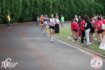 IMG_3922.jpg