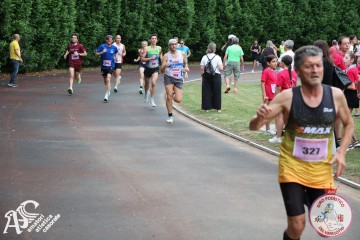 IMG_3931.jpg