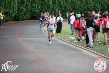 IMG_3956.jpg