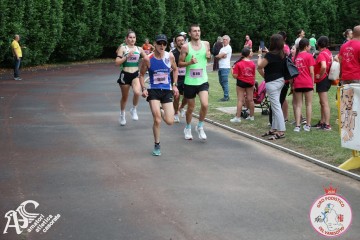 IMG_3976.jpg