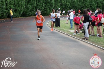 IMG_3981.jpg