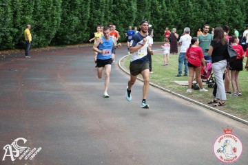 IMG_3987.jpg