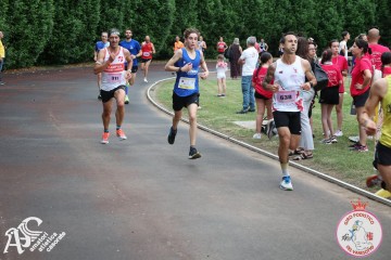IMG_3993.jpg
