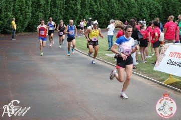 IMG_4039.jpg